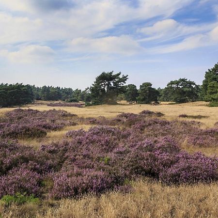 Chalet Op De Veluwe # Berk Putten Exterior foto
