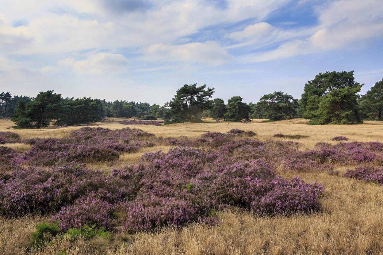Chalet Op De Veluwe # Berk Putten Exterior foto